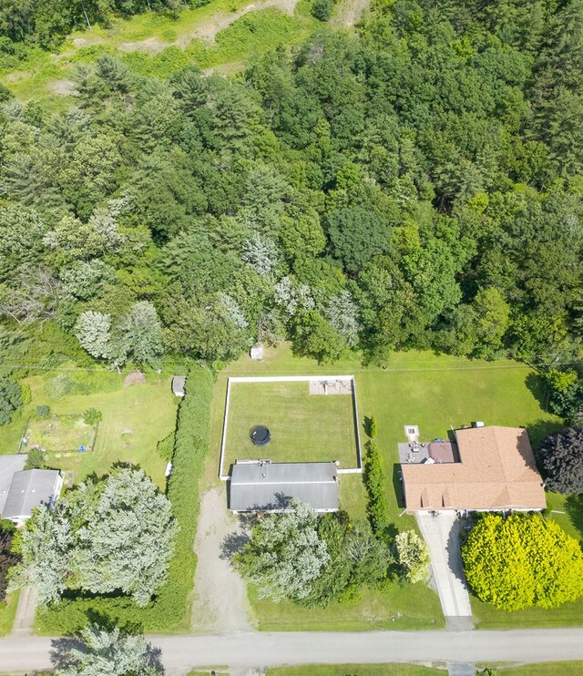 48 Hillside Terrace Rd, Tioga, PA 16946 - photo 30
