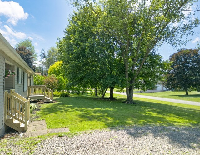48 Hillside Terrace Rd, Tioga, PA 16946 - photo 33