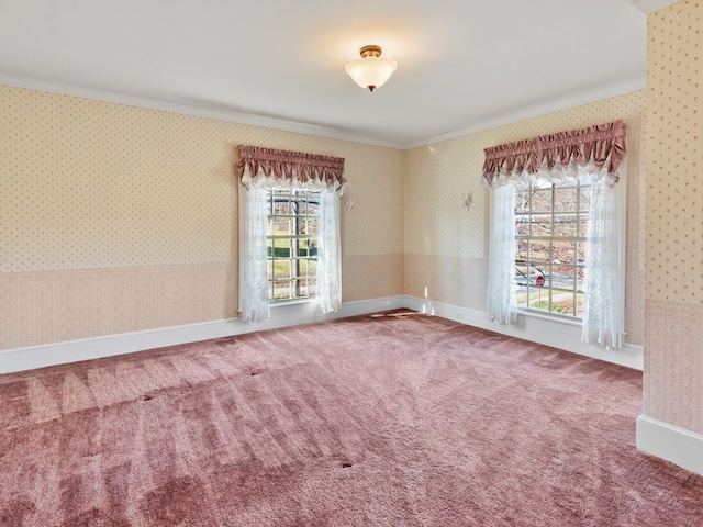 spare room featuring carpet, ornamental molding, and a wealth of natural light