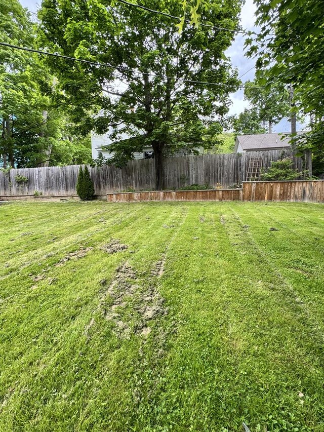 712 W Main St, Smethport, PA 16749 - view of yard