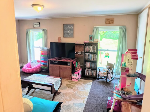 2826 Austinville Rd, Troy, PA 16947 - carpeted living room with healthy amount of natural light and ornamental molding