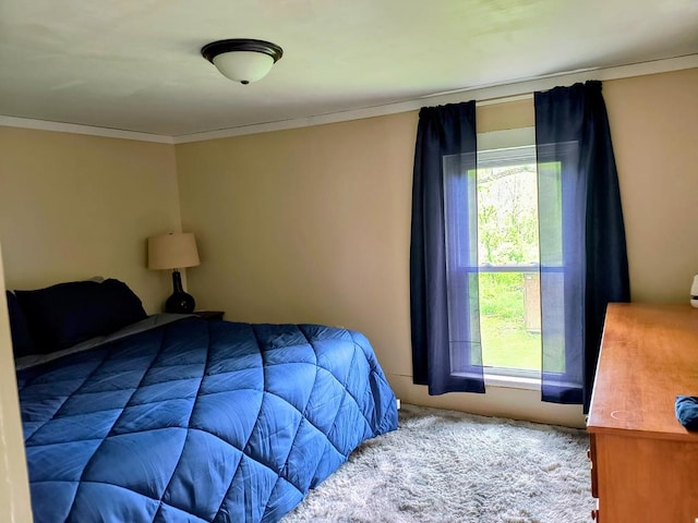 2826 Austinville Rd, Troy, PA 16947 - carpeted bedroom featuring ornamental molding