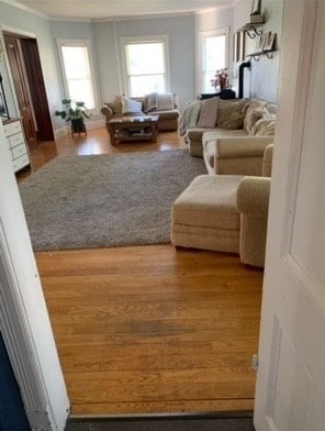 living room featuring hardwood / wood-style floors and ornamental molding