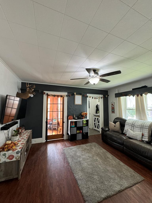 living room featuring dark hardwood / wood-style flooring