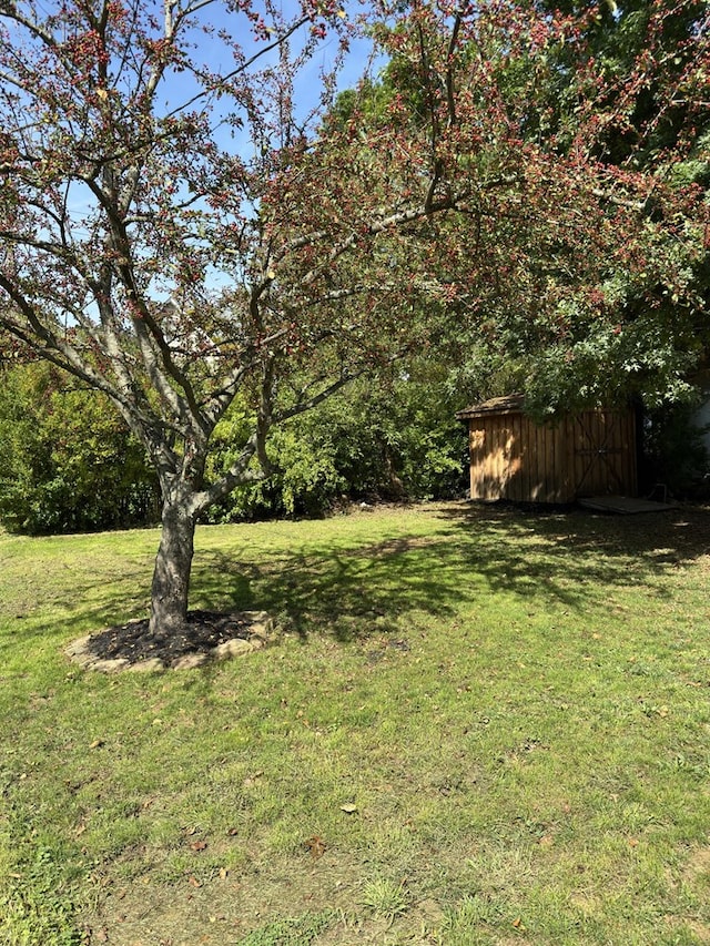 view of yard with a storage unit