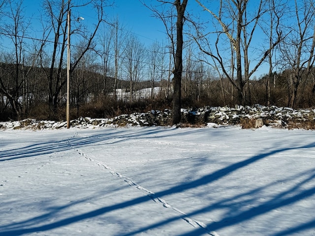 view of snowy yard