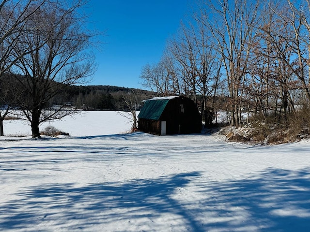 view of snowy yard