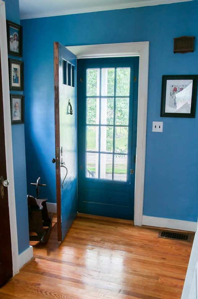 entryway featuring wood-type flooring