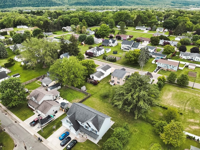 109 Alden St, Sayre, PA 18840 - aerial view of residential area