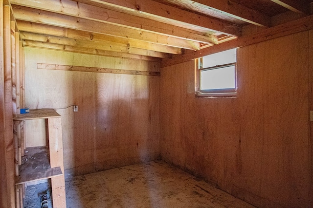 basement with wood walls