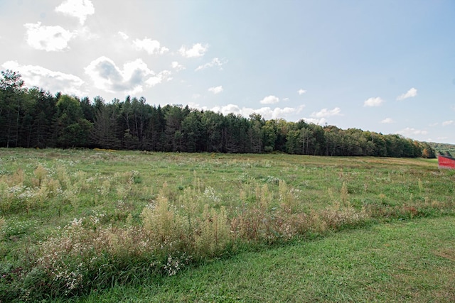 view of nature featuring a rural view