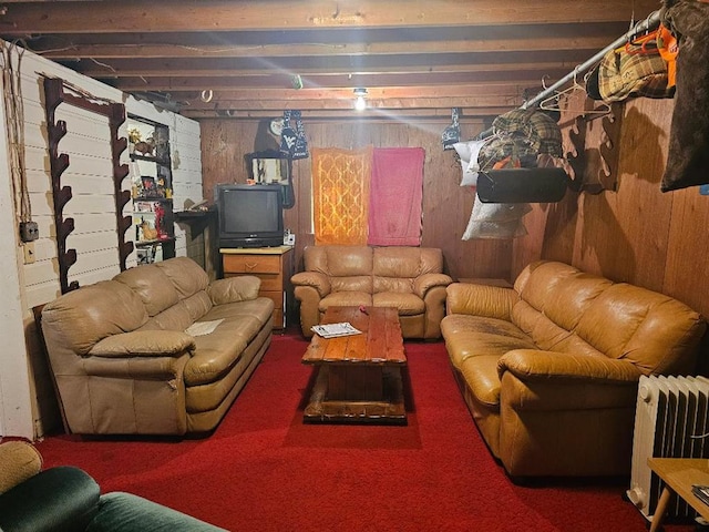 225 Logue Run Rd, Austin, PA 16720 - living area featuring radiator heating unit and wood walls