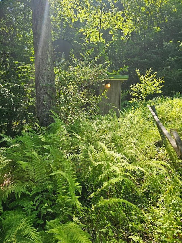 225 Logue Run Rd, Austin, PA 16720 - view of woods