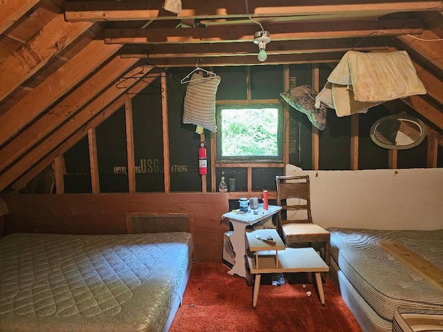 225 Logue Run Rd, Austin, PA 16720 - view of attic