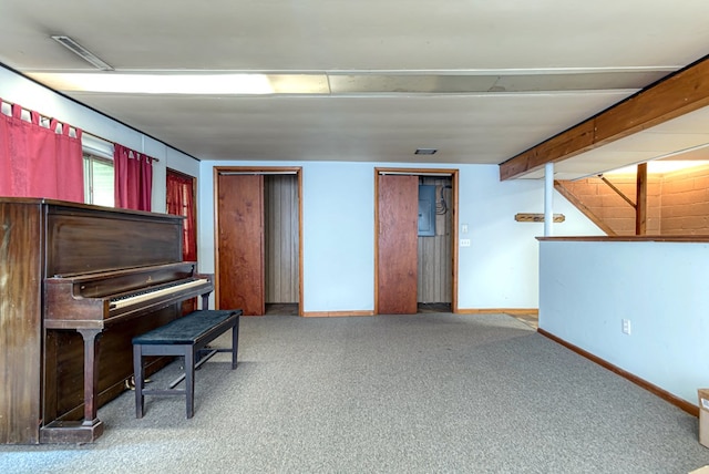 miscellaneous room with carpet flooring