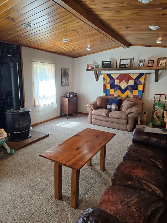 5407 Rte 14, Roaring Branch, PA 17765 - photo 4