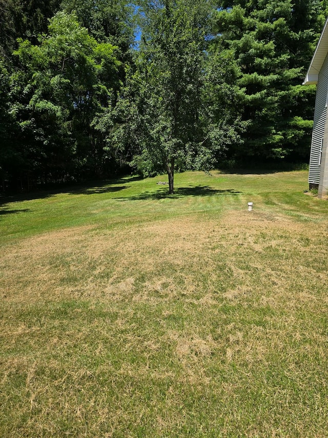 5407 Rte 14, Roaring Branch, PA 17765 - photo 2