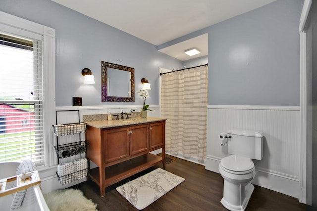 1349 Hills Creek Rd, Wellsboro, PA 16901 - bathroom featuring a wainscoted wall, toilet, vanity, wood finished floors, and healthy amount of natural light