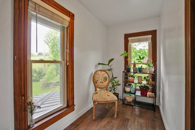 1349 Hills Creek Rd, Wellsboro, PA 16901 - doorway featuring healthy amount of natural light, dark wood finished floors, and baseboards