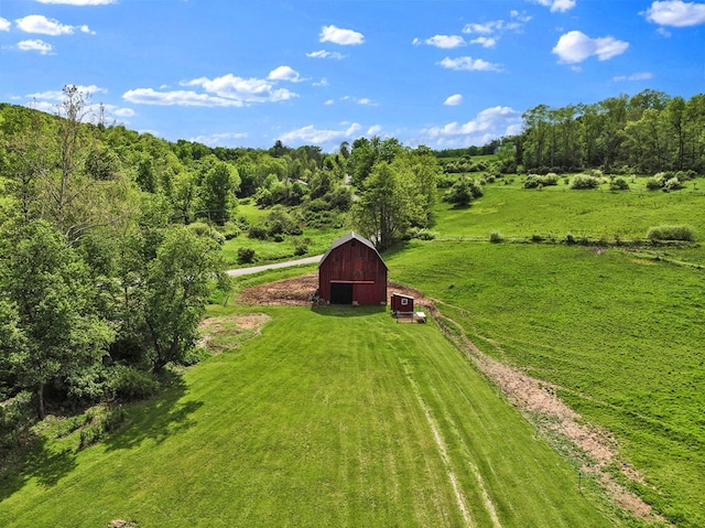 1349 Hills Creek Rd, Wellsboro, PA 16901 - view of green lawn with a barn, an outdoor structure, a detached garage, a view of rural / pastoral area, and driveway