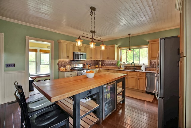 1349 Hills Creek Rd, Wellsboro, PA 16901 - kitchen with appliances with stainless steel finishes, wainscoting, a sink, wood counters, and ornamental molding