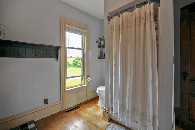 1349 Hills Creek Rd, Wellsboro, PA 16901 - bathroom featuring toilet, hardwood / wood-style floors, plenty of natural light, and a shower with curtain
