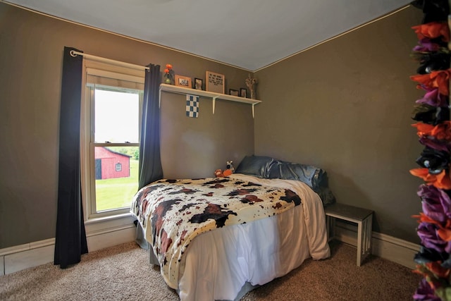 1349 Hills Creek Rd, Wellsboro, PA 16901 - bedroom featuring carpet