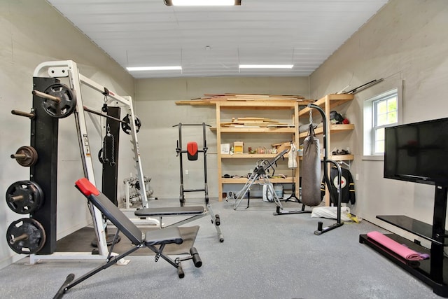 1349 Hills Creek Rd, Wellsboro, PA 16901 - view of workout area