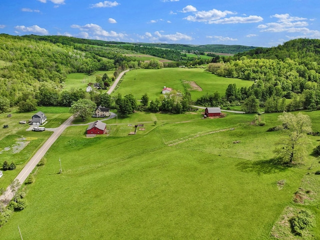 1349 Hills Creek Rd, Wellsboro, PA 16901 - view of rural area featuring a forest and agricultural land