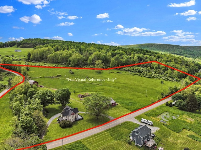 1349 Hills Creek Rd, Wellsboro, PA 16901 - overview of rural landscape with property parcel outlined and a forest