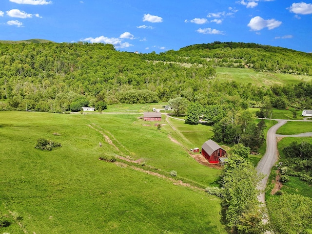 1349 Hills Creek Rd, Wellsboro, PA 16901 - overview of rural landscape with a forest