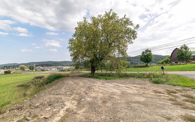 view of yard with a mountain view and a rural view