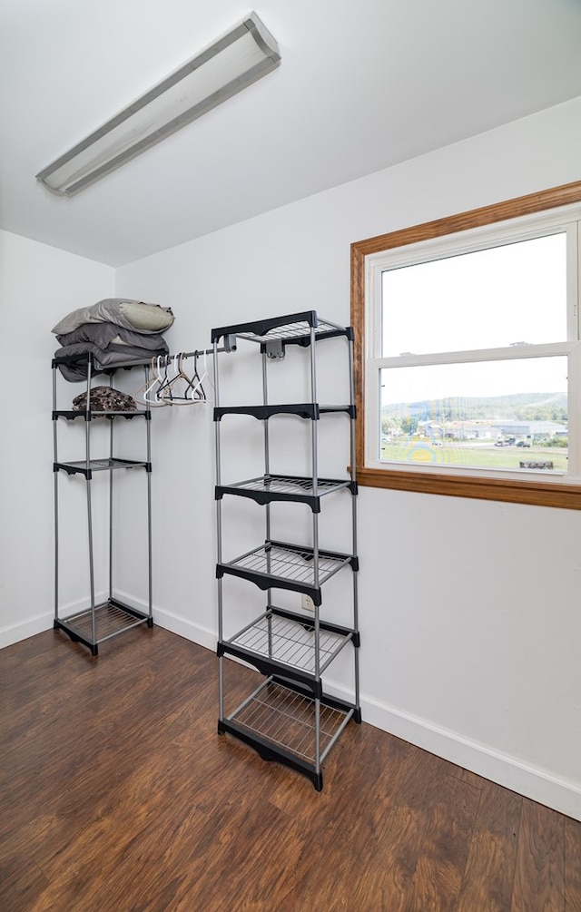 spacious closet featuring dark wood-type flooring