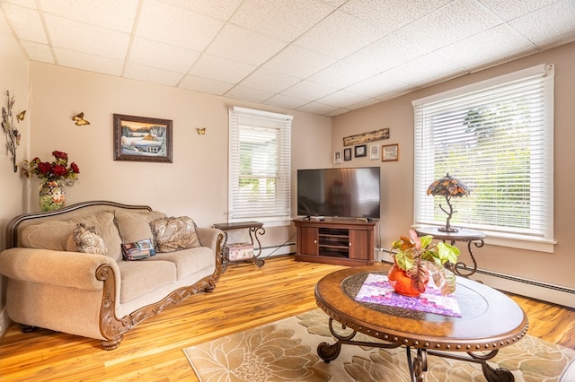 5 Eberenz St, Wellsboro, PA 16901 - living room featuring plenty of natural light, light wood finished floors, and a drop ceiling