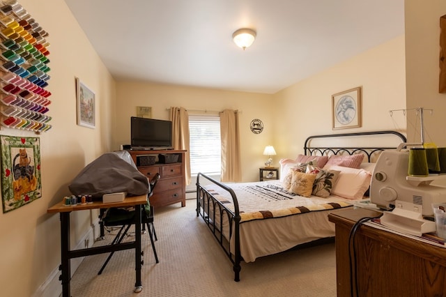 5 Eberenz St, Wellsboro, PA 16901 - bedroom featuring baseboard heating and carpet