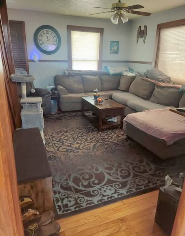 living area featuring ceiling fan and wood finished floors