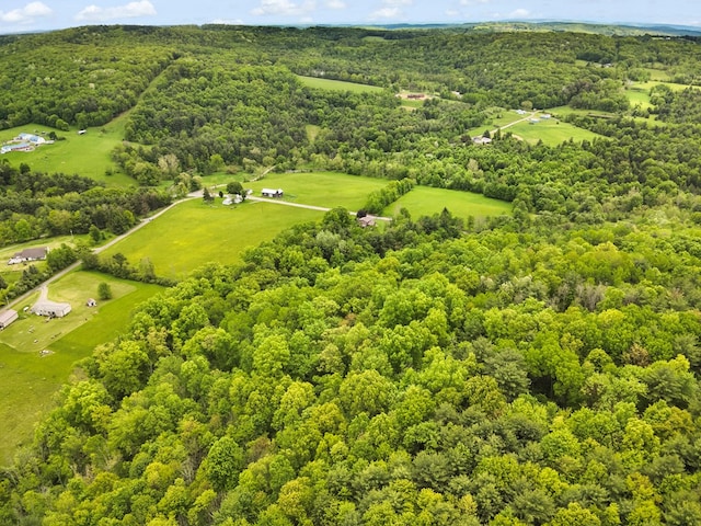 1817 Cotton Hollow Rd, Athens, PA 18810 - aerial view of a forest