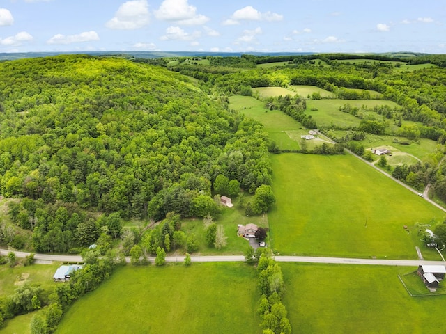 1817 Cotton Hollow Rd, Athens, PA 18810 - bird's eye view of a forest