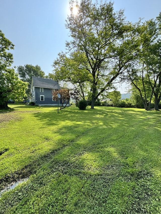 66 Benton St, Port Allegany, PA 16743 - view of green lawn