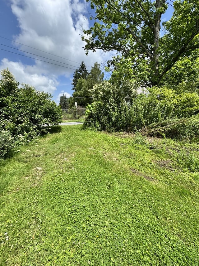 66 Benton St, Port Allegany, PA 16743 - view of yard