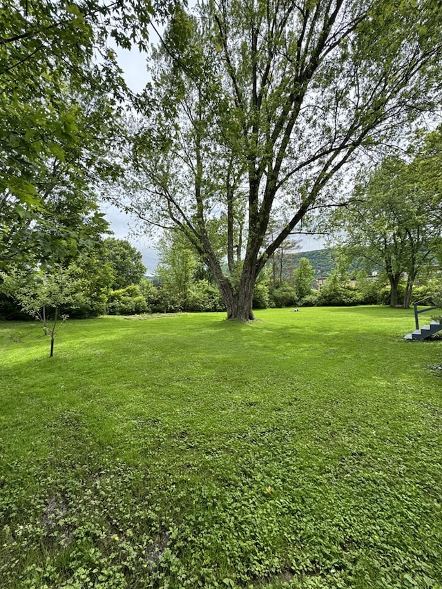 66 Benton St, Port Allegany, PA 16743 - view of green lawn