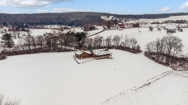 view of snowy aerial view