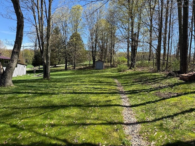 view of yard with an outdoor structure and a shed