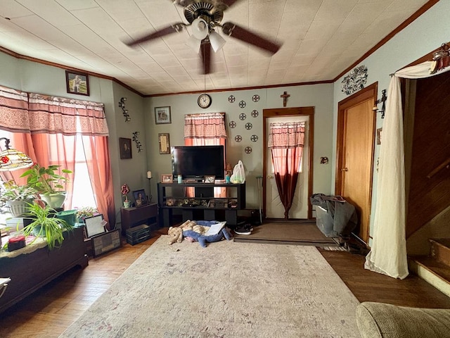 living room with crown molding, ceiling fan, and wood finished floors