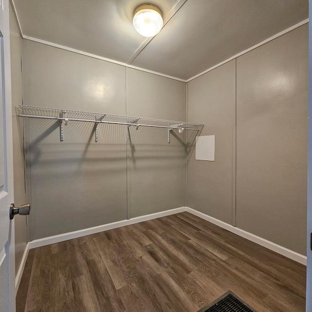 spacious closet with dark wood-type flooring