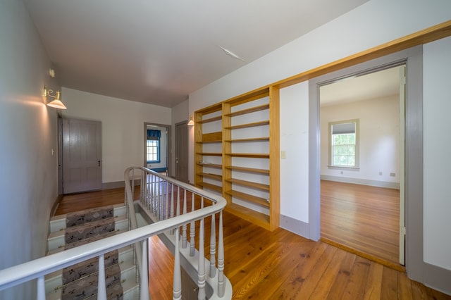 hallway with hardwood / wood-style floors and a wealth of natural light