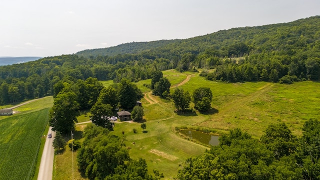 birds eye view of property featuring a water view and a rural view