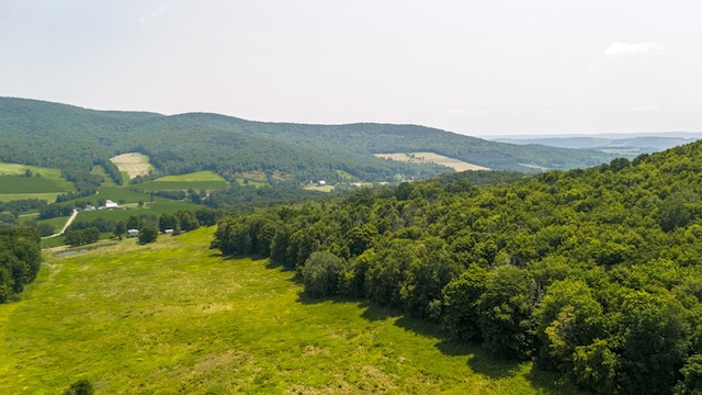 view of mountain feature