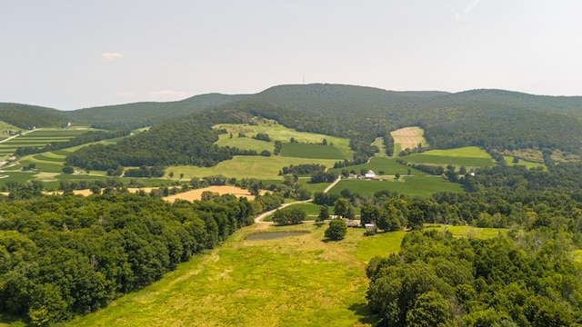 birds eye view of property featuring a mountain view