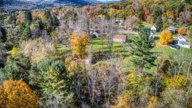 aerial view featuring a mountain view